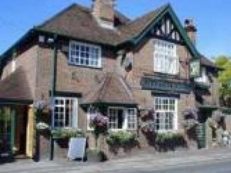 Martins Pond, Potten End •