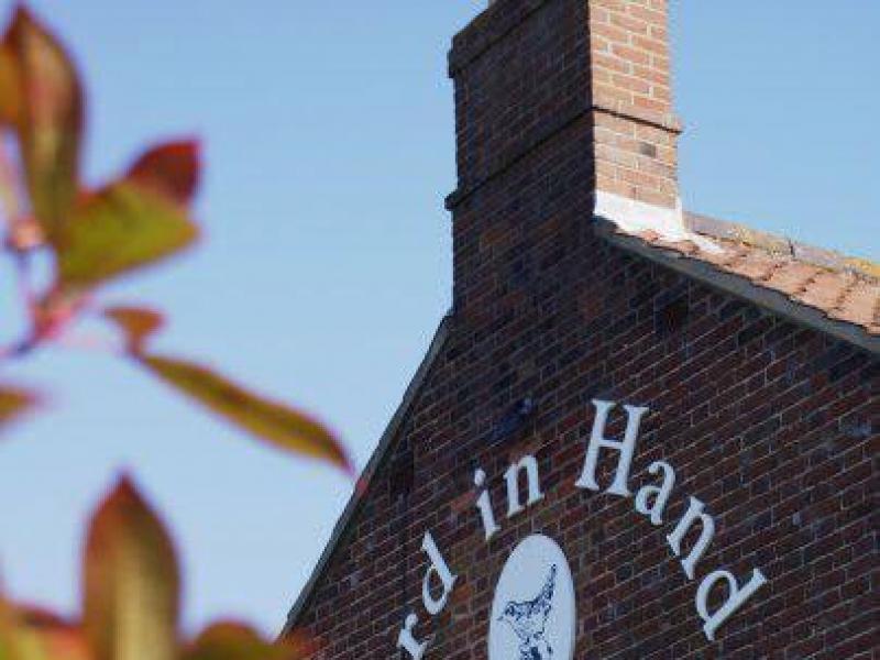 Bird In Hand, Wreningham