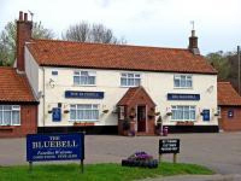 Bluebell, North Walsham