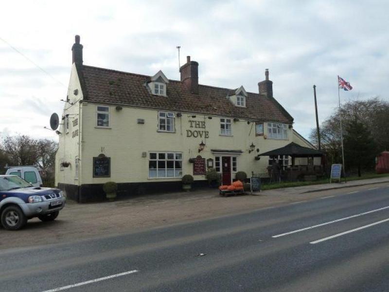 Dove, Poringland •