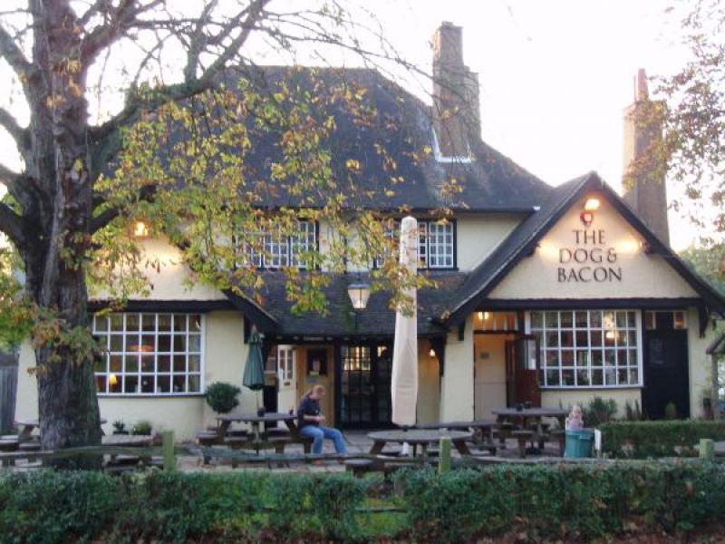 Dog & Bacon, Horsham •