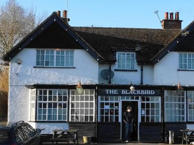 Blackbird, Croughton