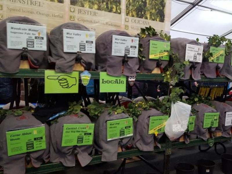 Bromsgrove Beer & Cider Festival, Bromsgrove