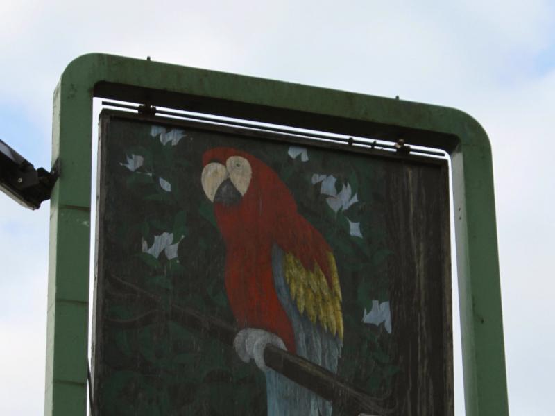 Parrot Inn, Shalford •