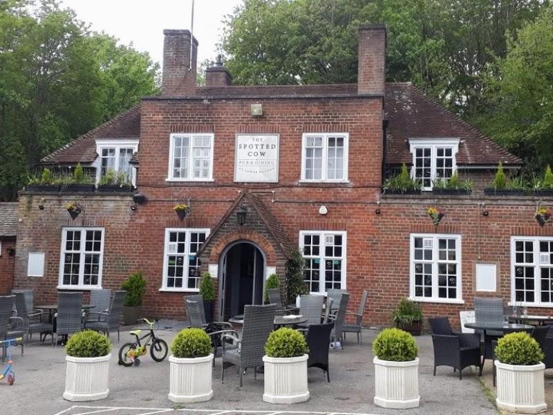 Spotted Cow, Lower Bourne •
