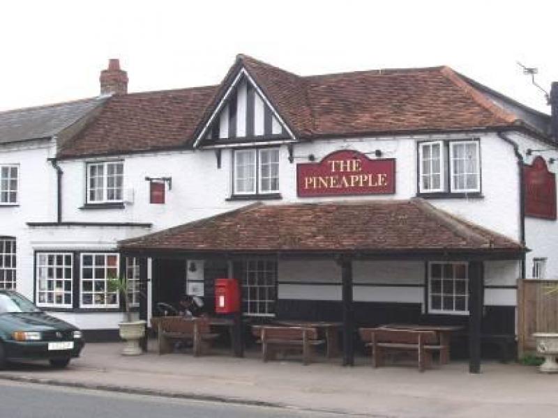 Pineapple, Dorney •