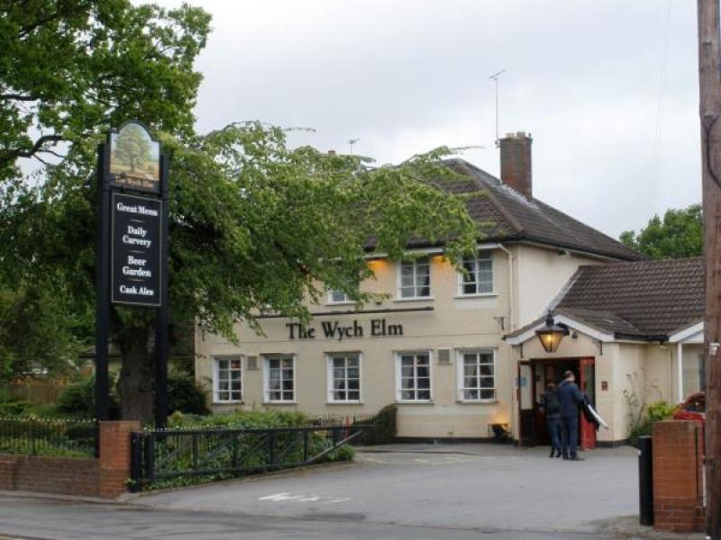 Wych Elm, Burntwood •