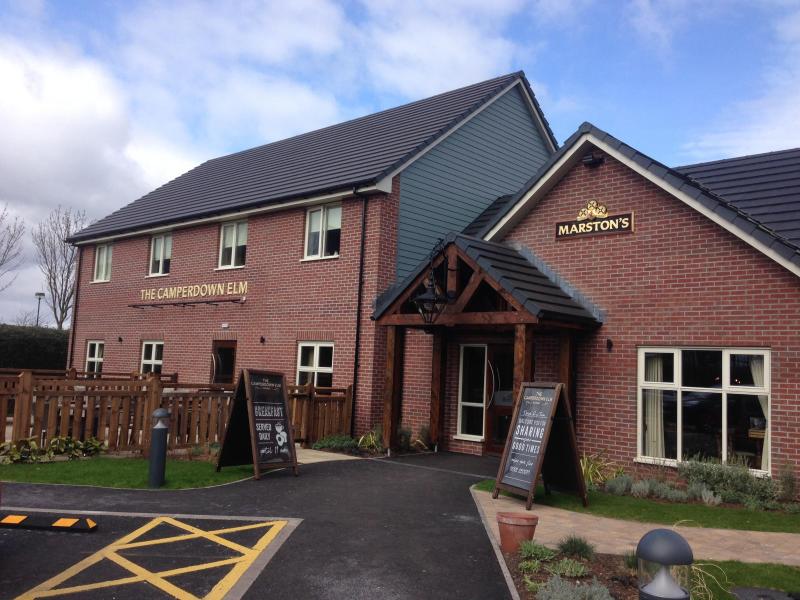 Camperdown Elm, Dundee