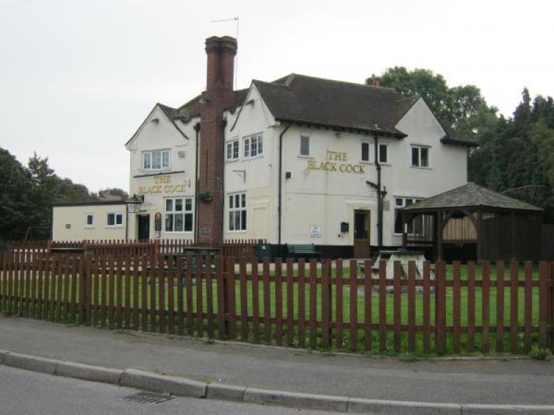 Black Cock, Walsall Wood •