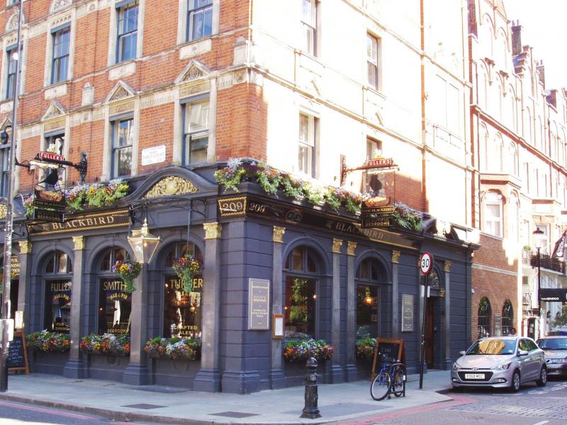 Blackbird, Earls Court